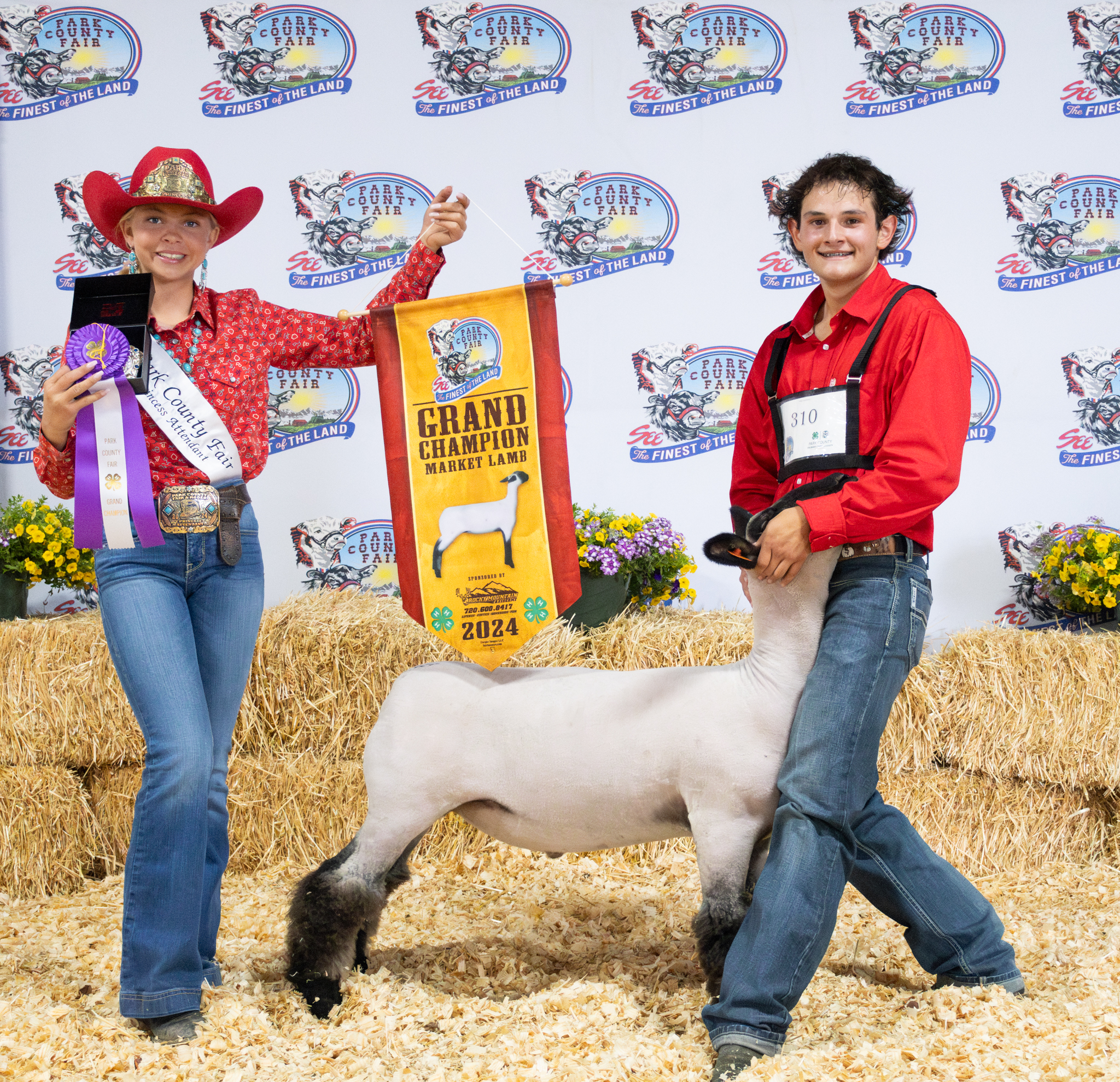 Sheep show champions