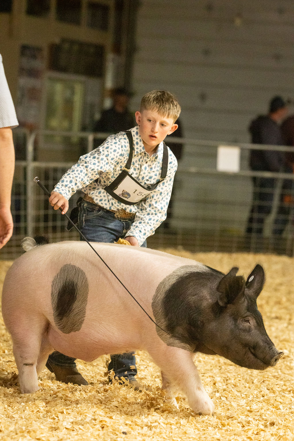 boy shows pig