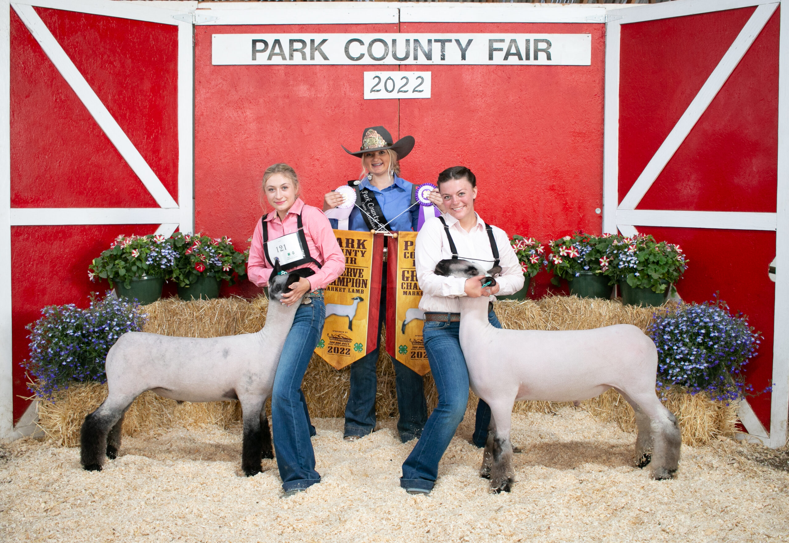 girls show their lambs at county fair