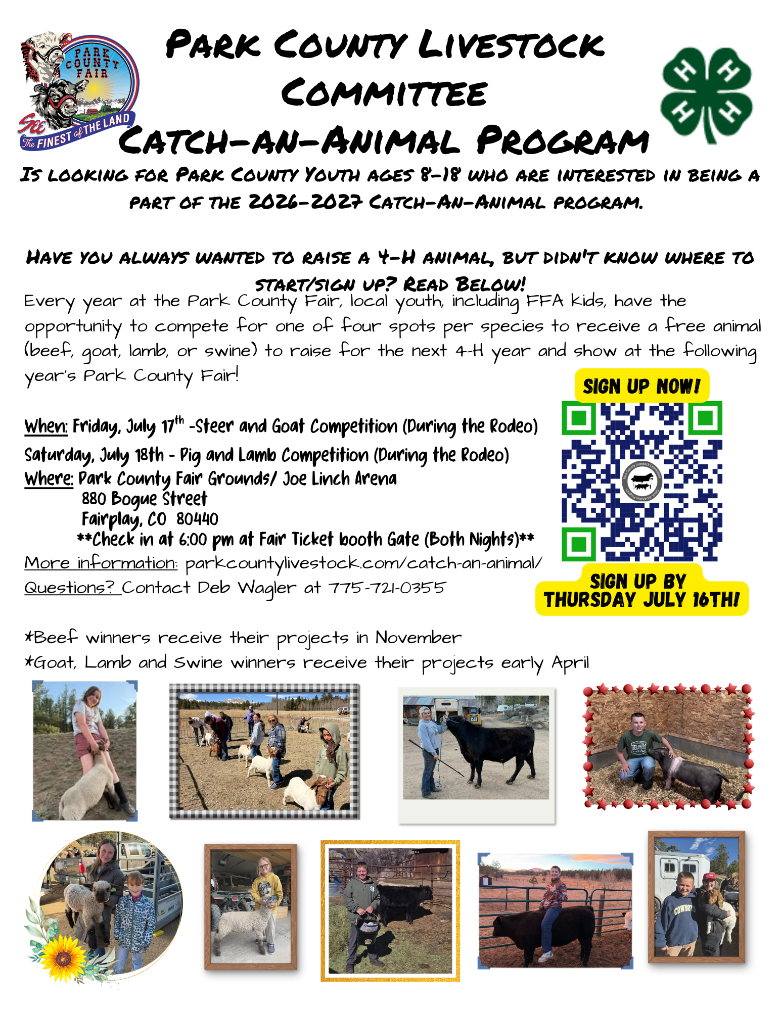 2026 Catch an animal ad