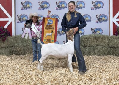 2025 Reserve Champion Market Goat